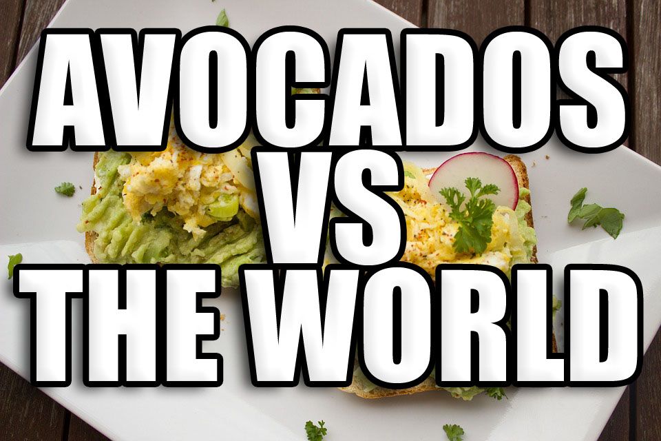 avocados-vs-the-world.jpg