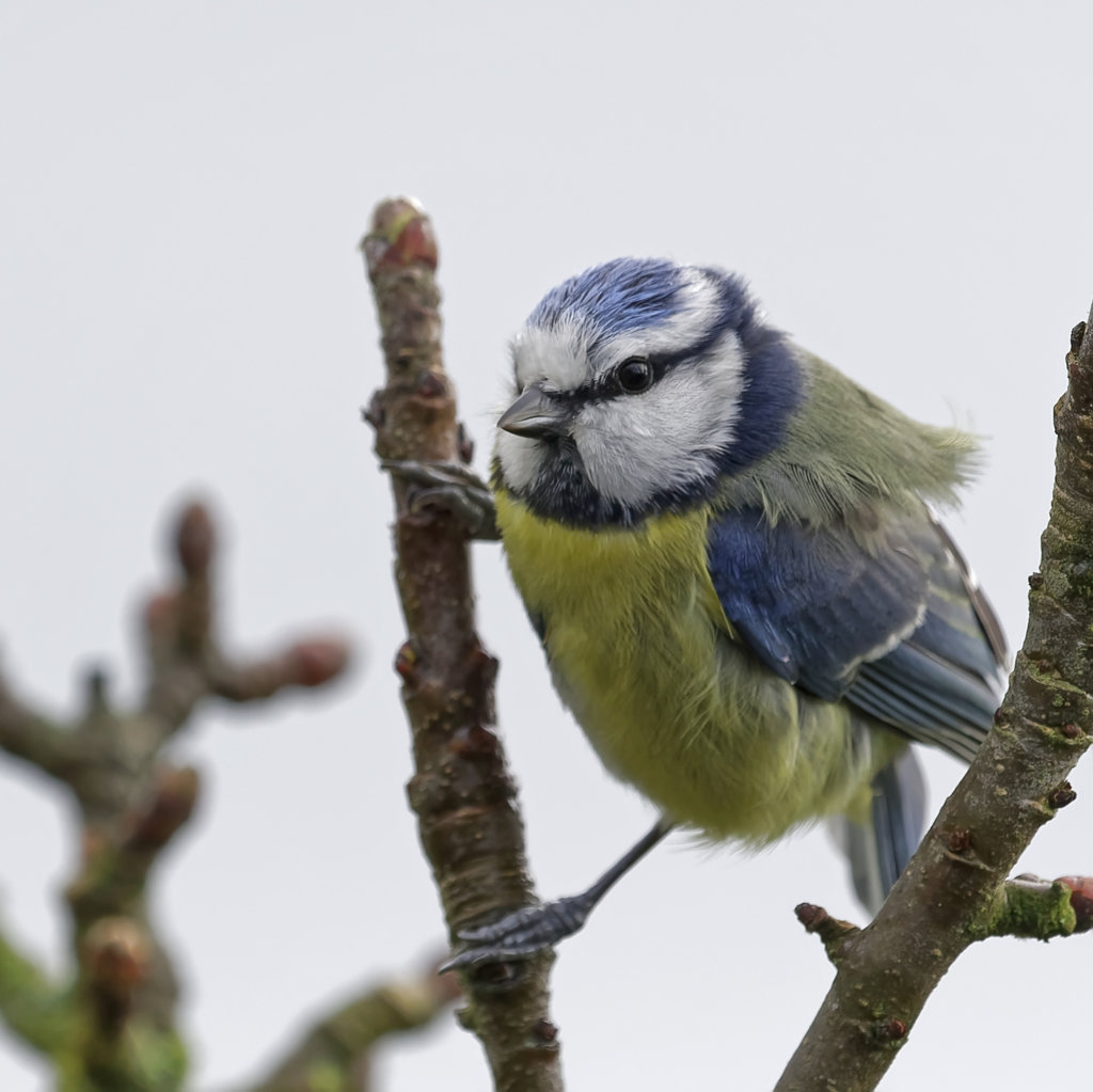 38958717980_a0a130a2d0_o (FILEminimizer).jpg