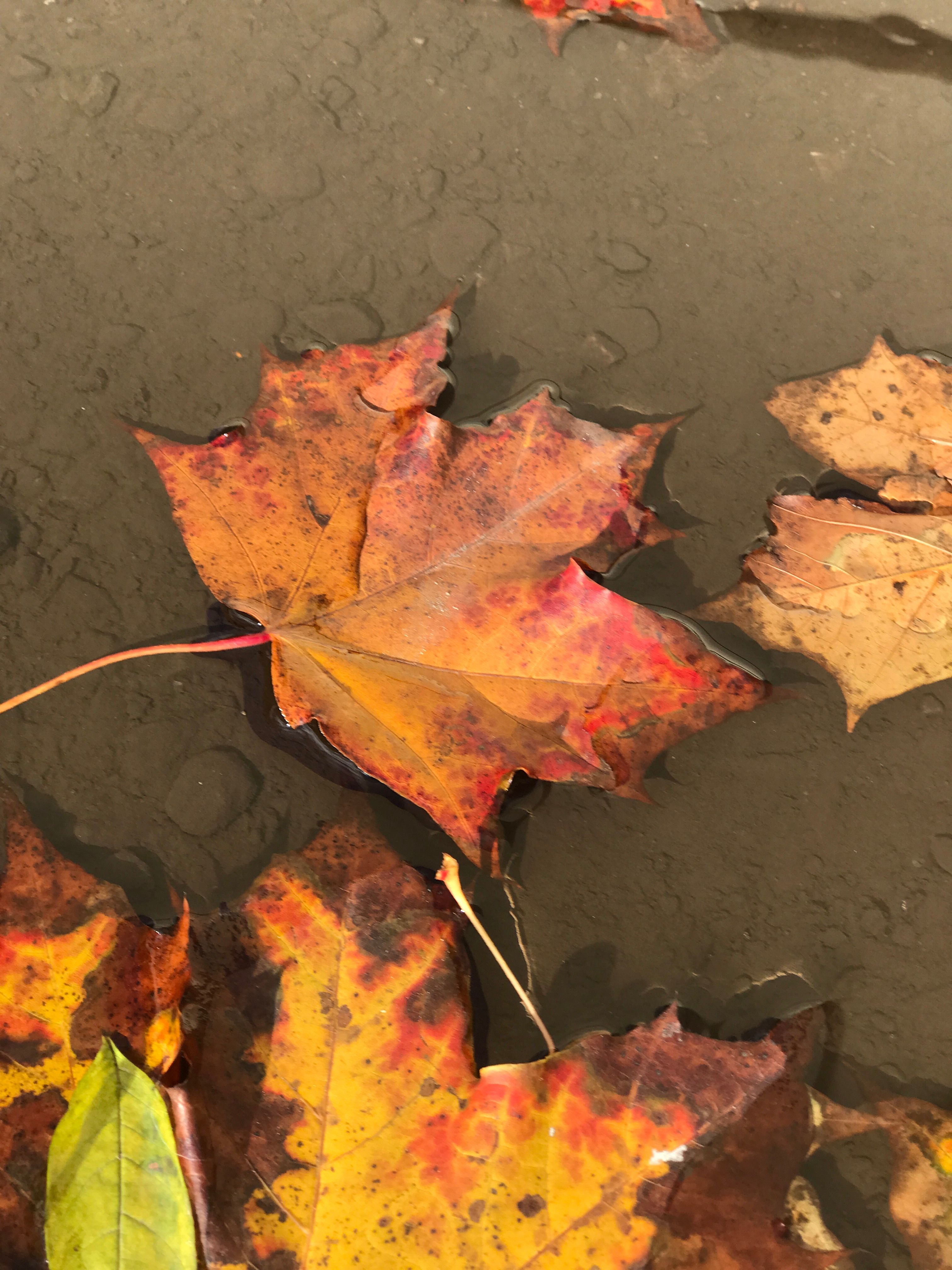 Фото 15.10.2017, 15 03 02.jpg