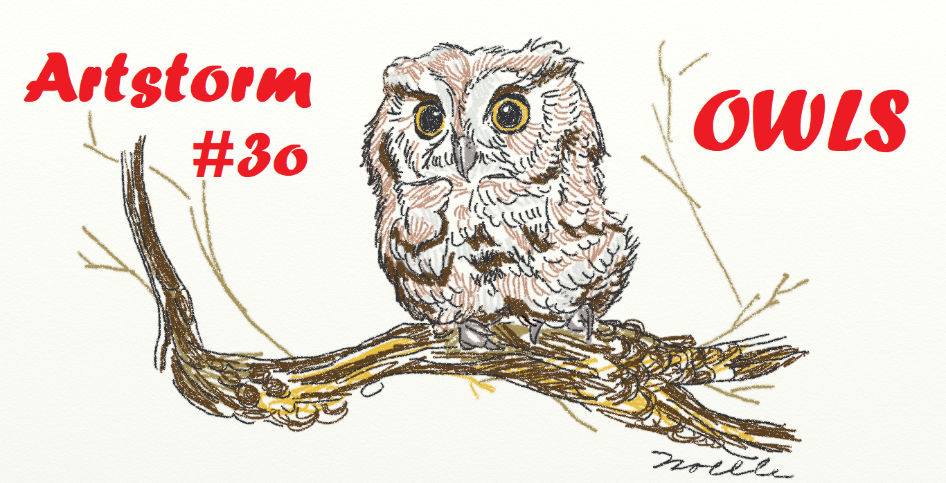 Owly Artstorm.png