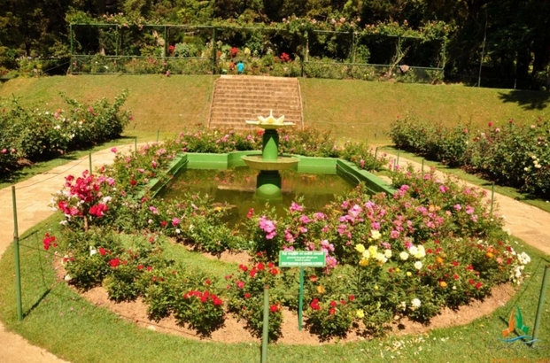 Hakgala Gardens.jpg