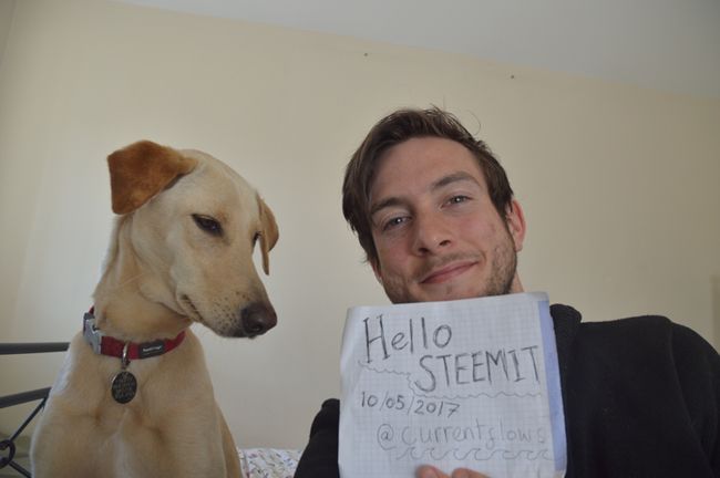 Steemit650.jpg