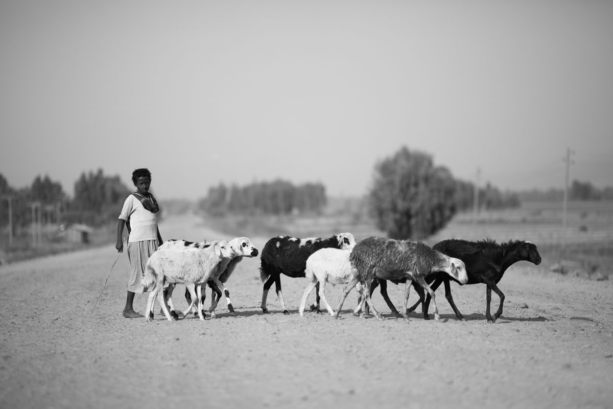 Ethiopia_isolated_by_Victor_Bezrukov-7.jpg