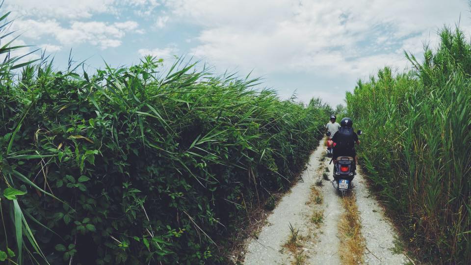 [Landscape] Let's Ride through the fields.jpg