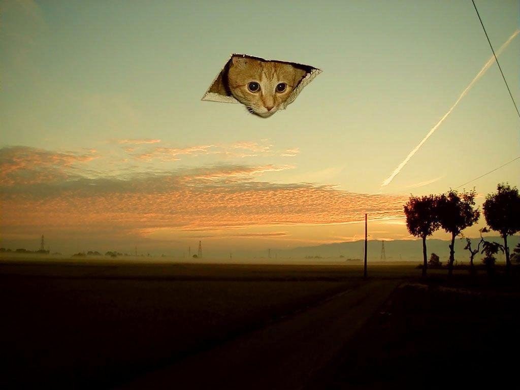 ME8ZQfcyedYfDSxRUYC9p6s-COum2FlHt4KAYBeq0aY.jpg