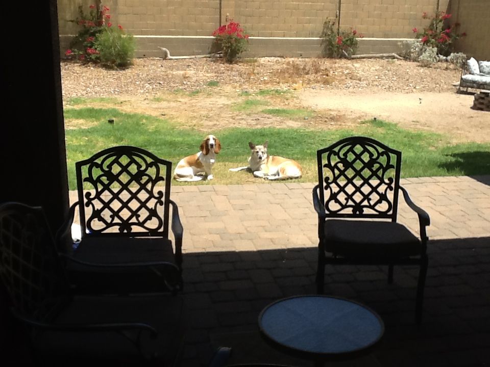 2015-06-10 11.36.32.jpg