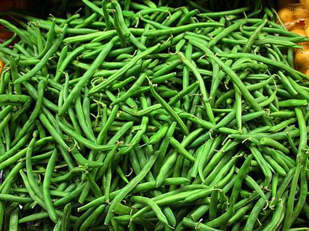 greenbeans 2.jpg