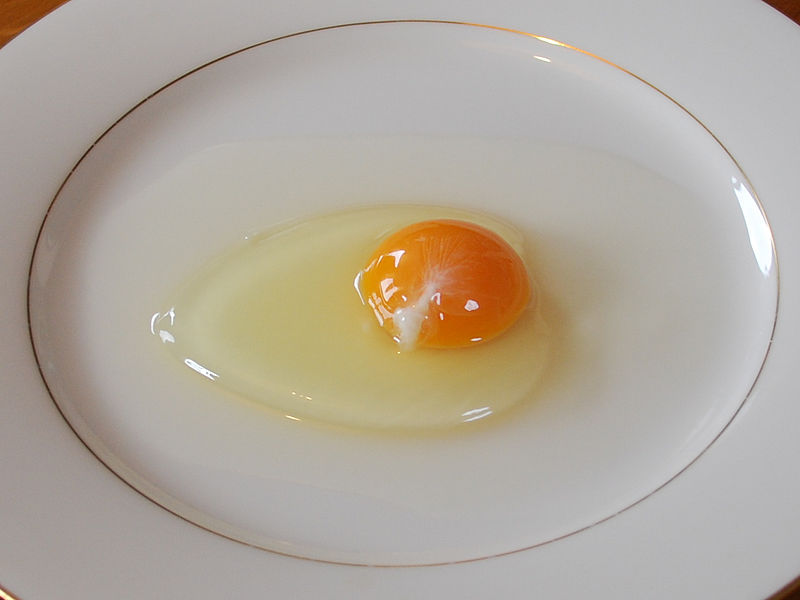 800px-Chicken_egg01_monovular.jpg