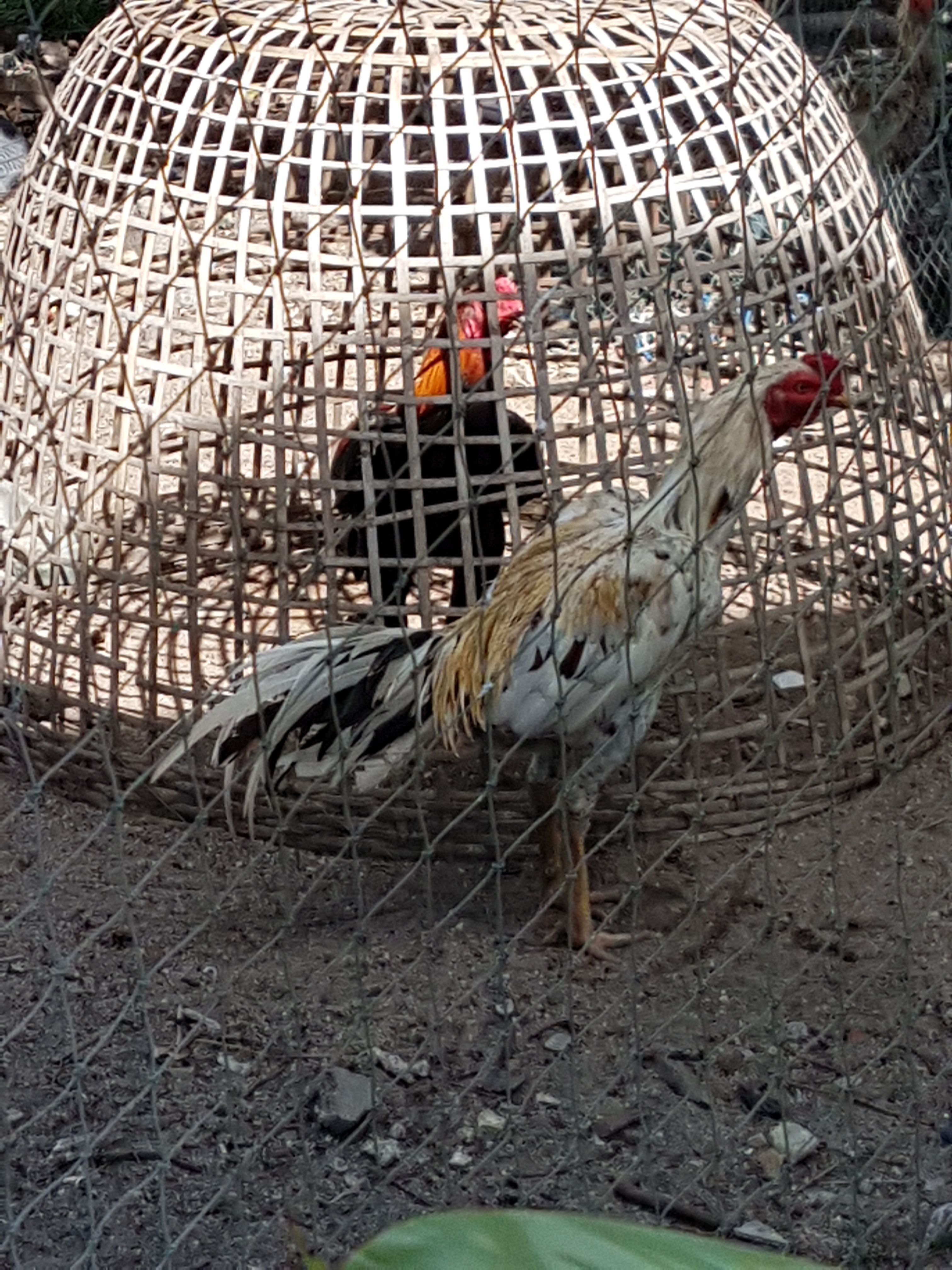 20171001_144631.jpg