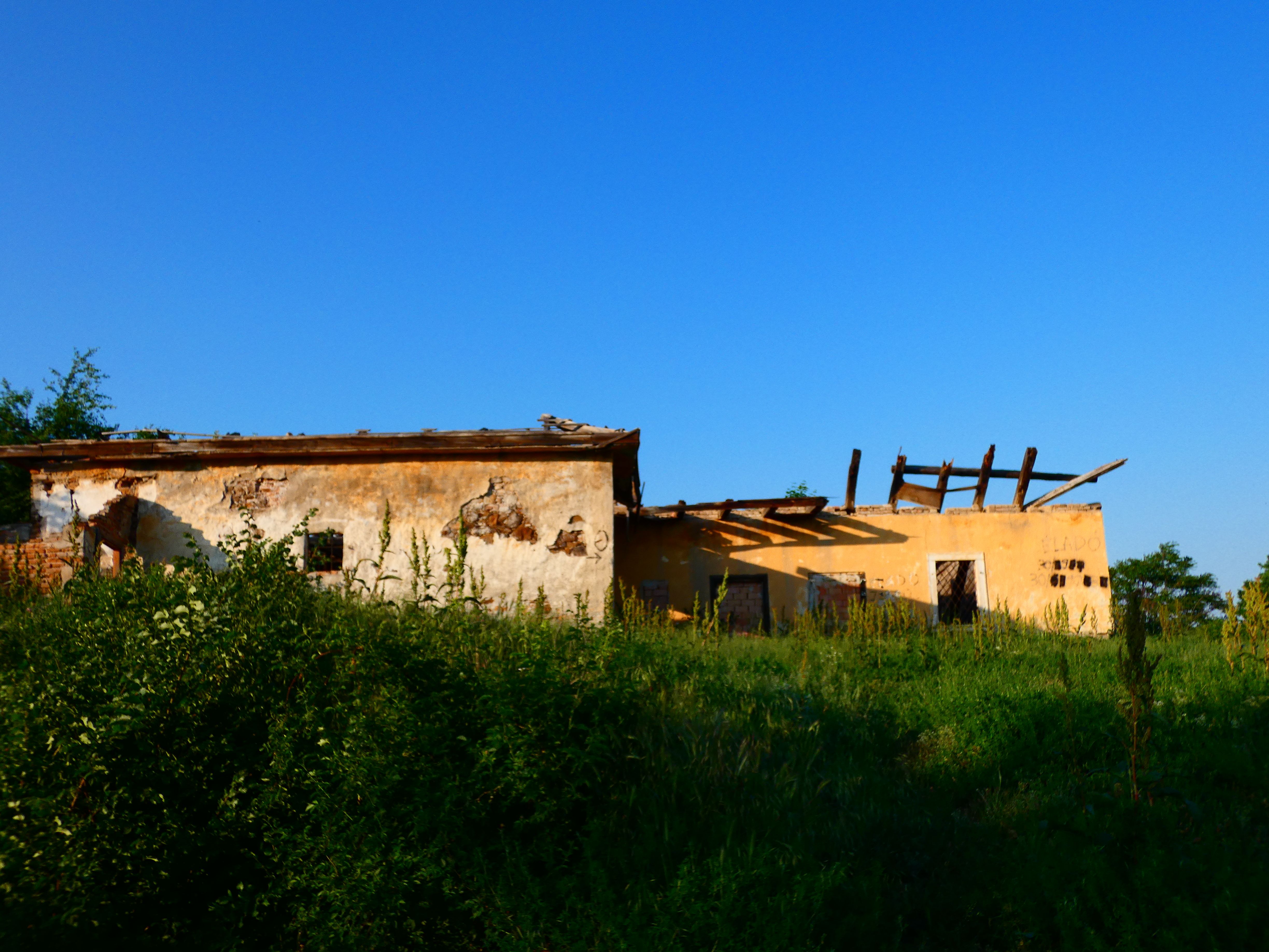 P1100526.JPG