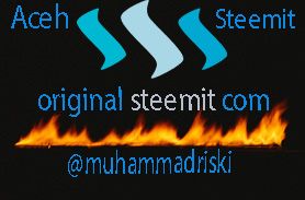 STEEMIT.jpg