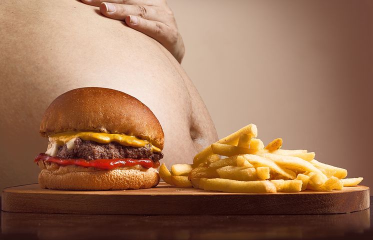 hamburger-2683042__480.jpg