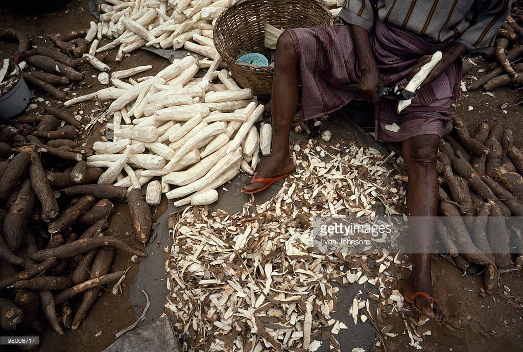 How Cassava Is Being Processed Into Garri Locally Steemit