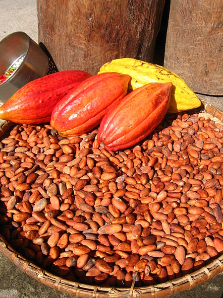 Cocoa_Pods_and_Seeds.jpg