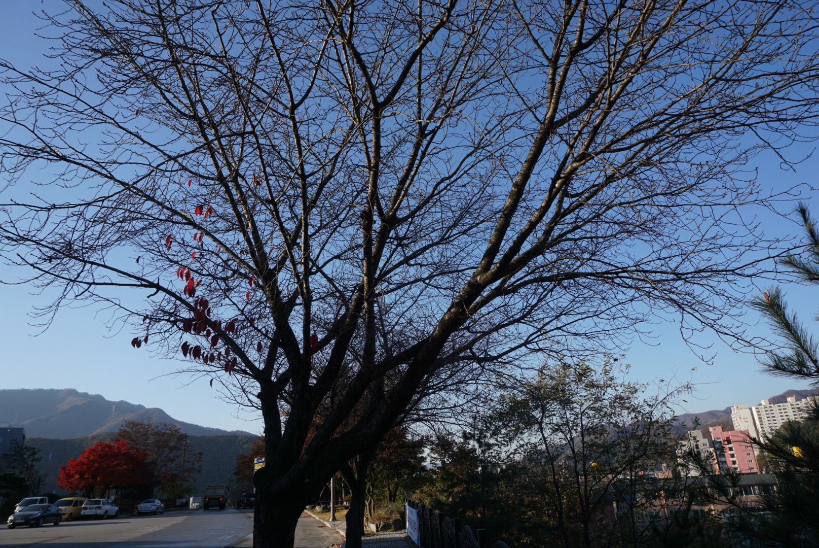 DSC08424.JPG