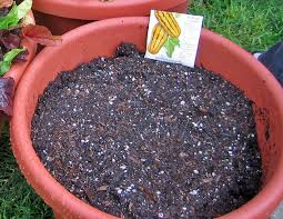 global potting soil market.jpg