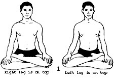 ardha-padmasana.jpg