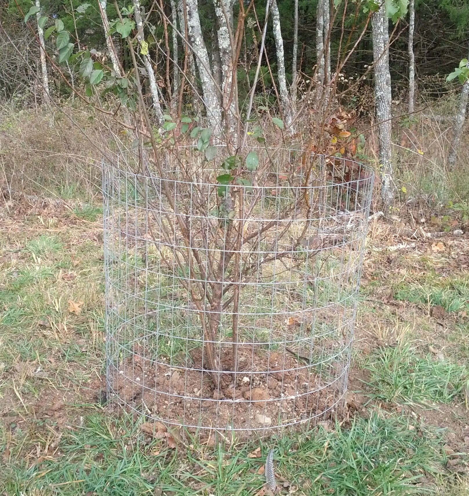 IMG_20171113_145436 (2).jpg