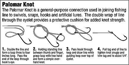 How to tie a palomar knot — Steemit