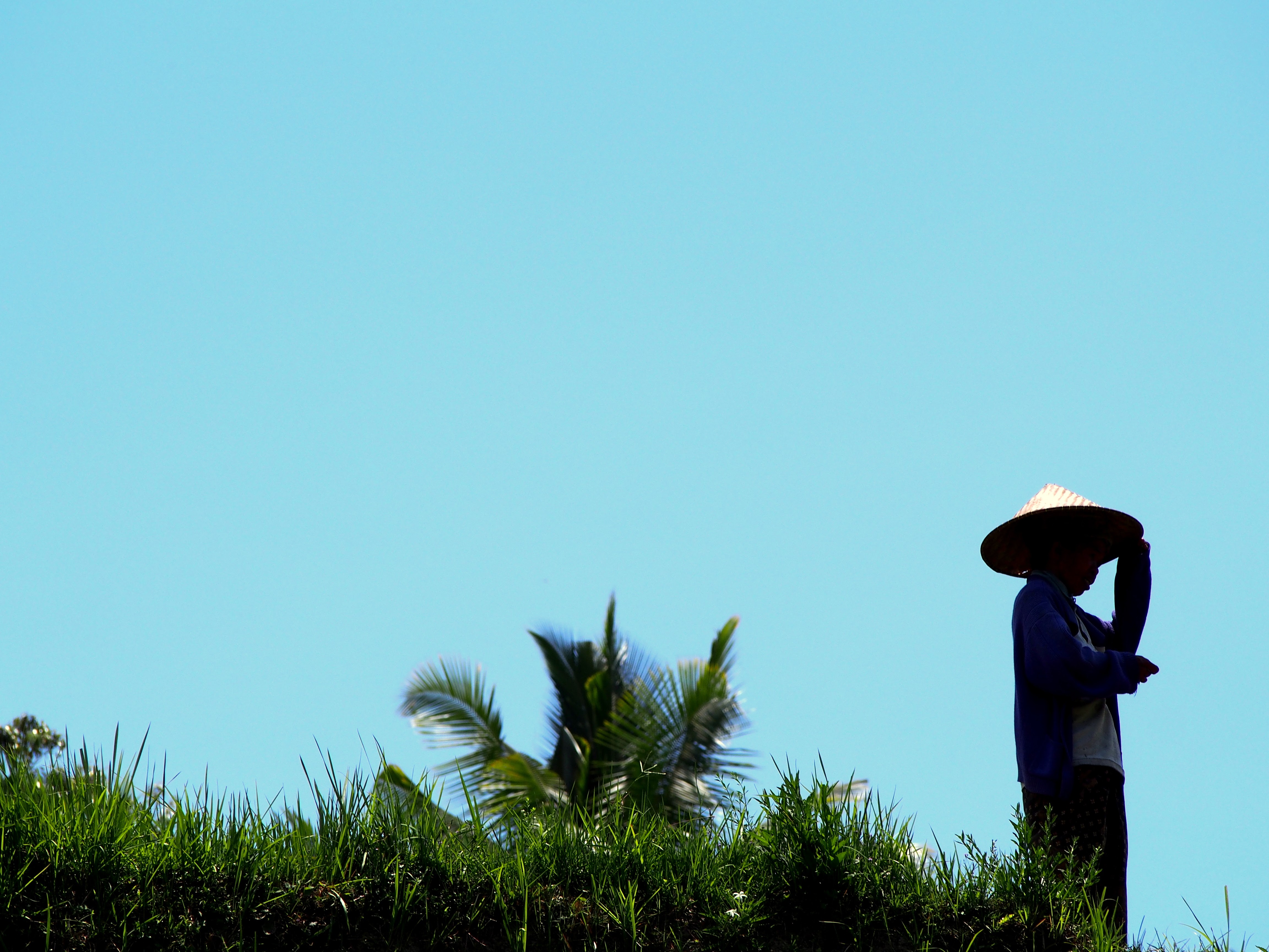 Ubud, Bali, near the rice fields, man standing alone.jpg