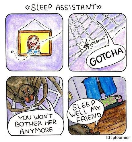 Spiders are your friends!