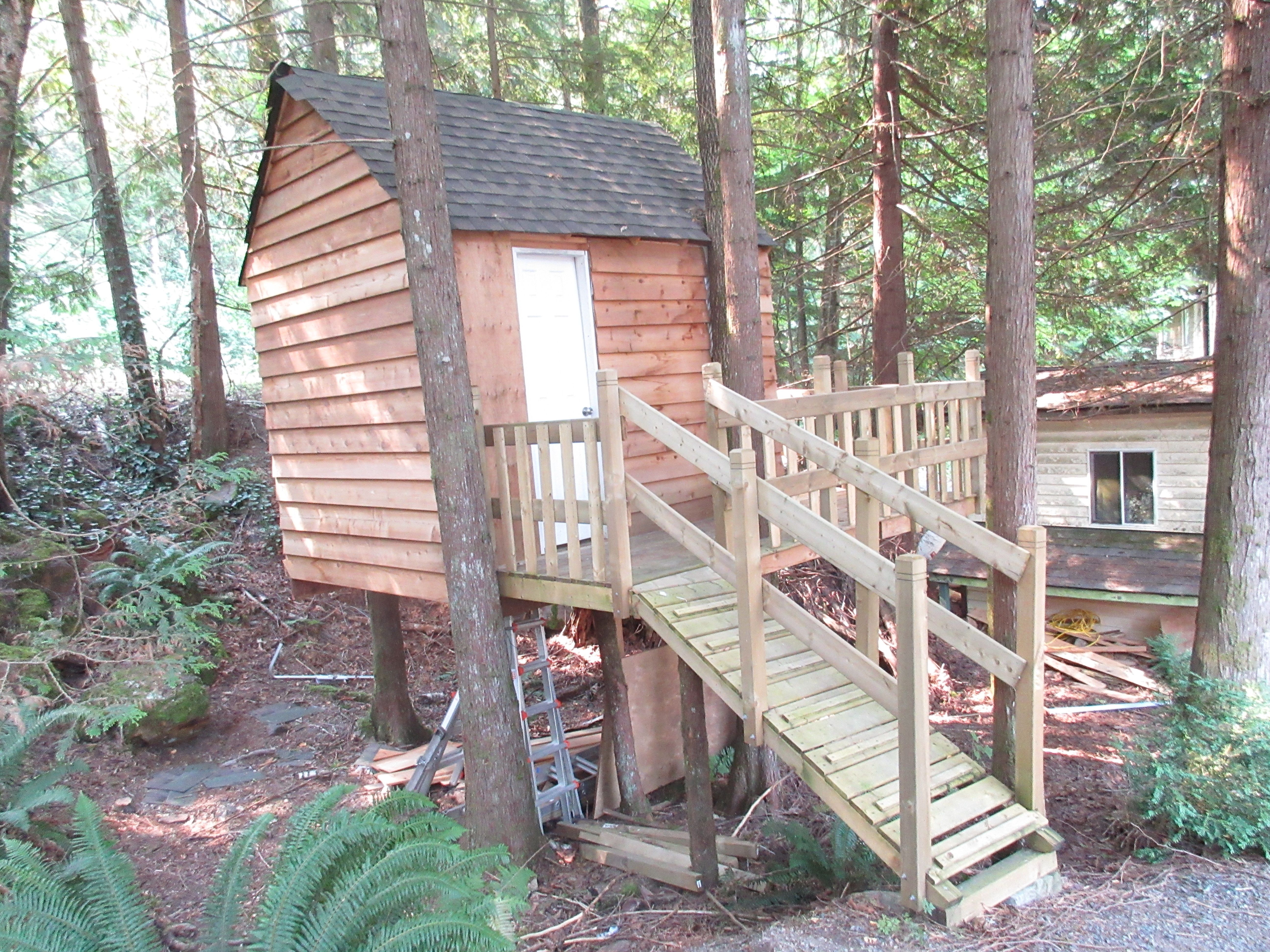 treehouse_01.jpg