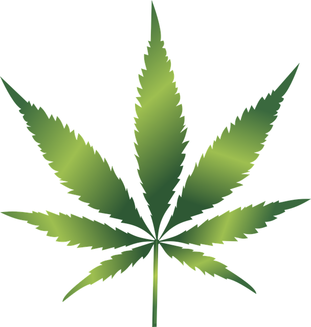 cannabis-1032119_640.png