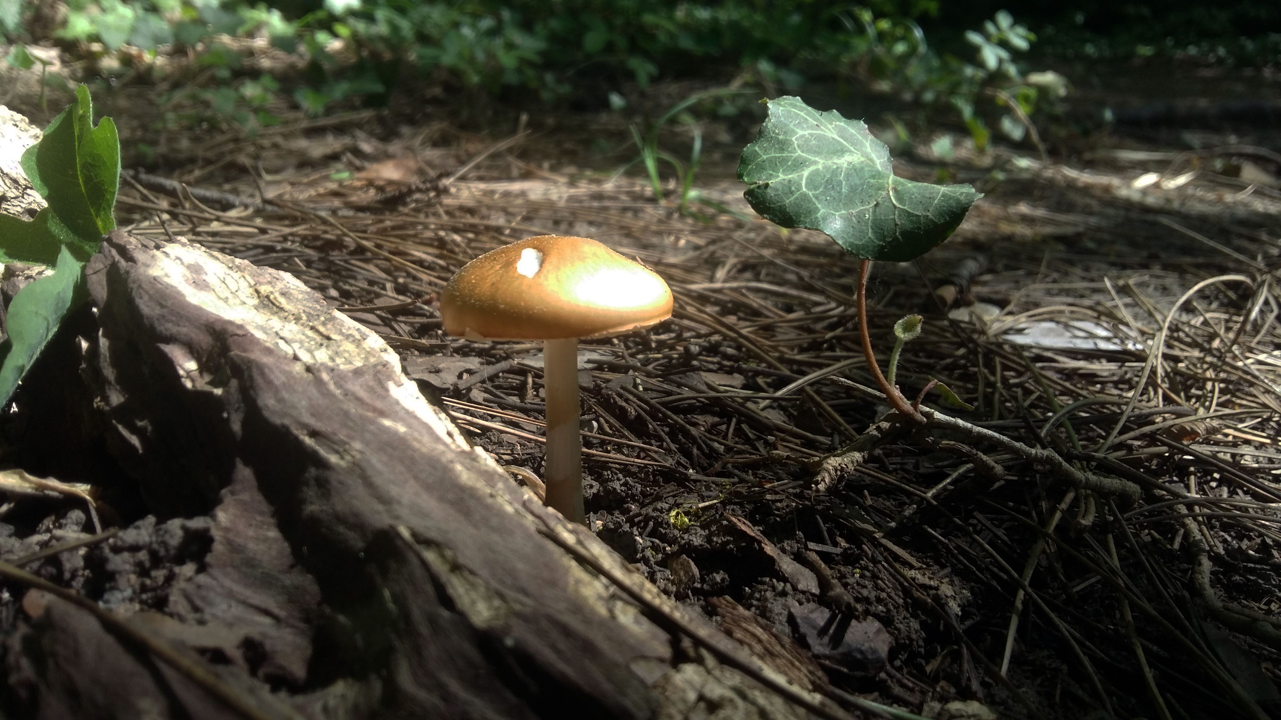 20180502_151354.jpg
