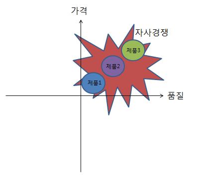 포지셔닝맵_자사경쟁.JPG