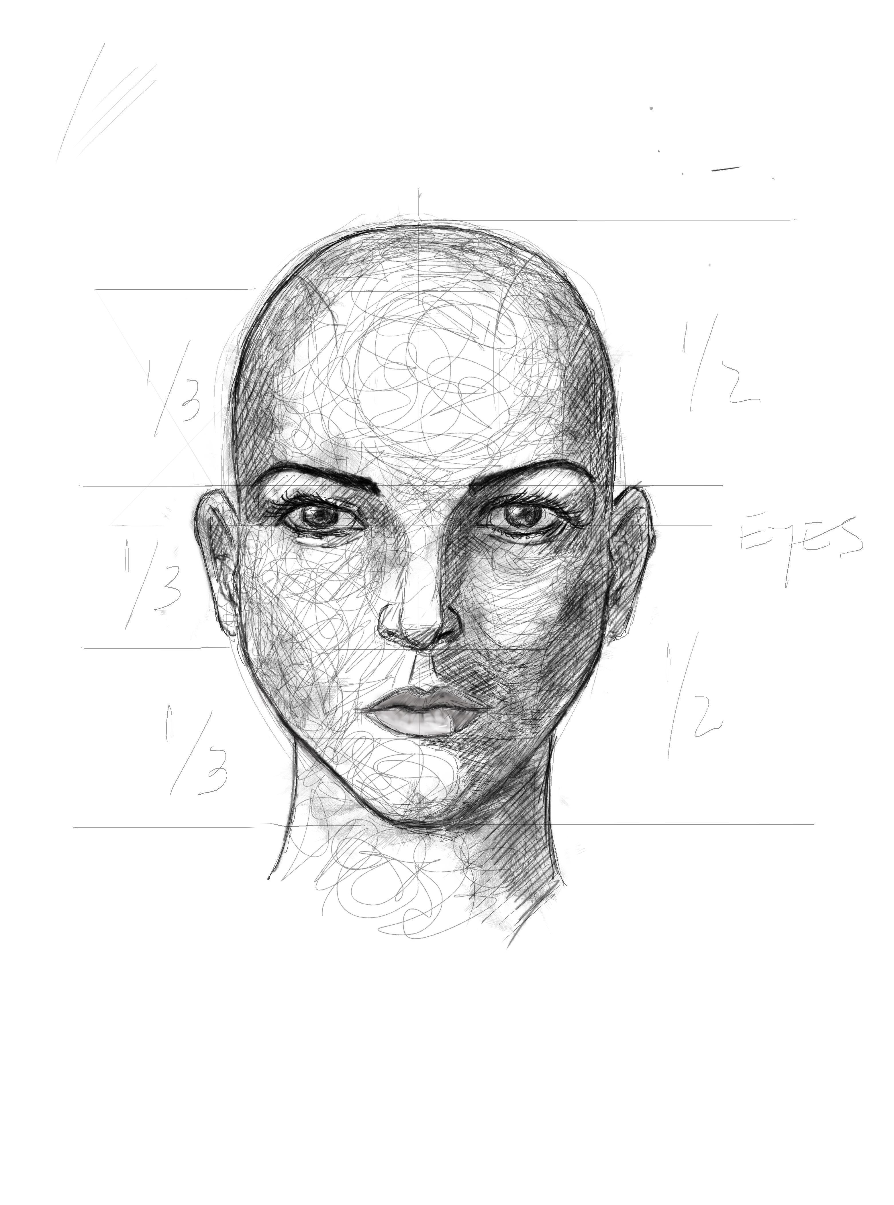 Male Face Template, Male Face Ratio, Male Face Grid, Front Face Template,  Male Face Sketch, Golden Ratio Grid Template, Fibonacci Grid, Face - Etsy