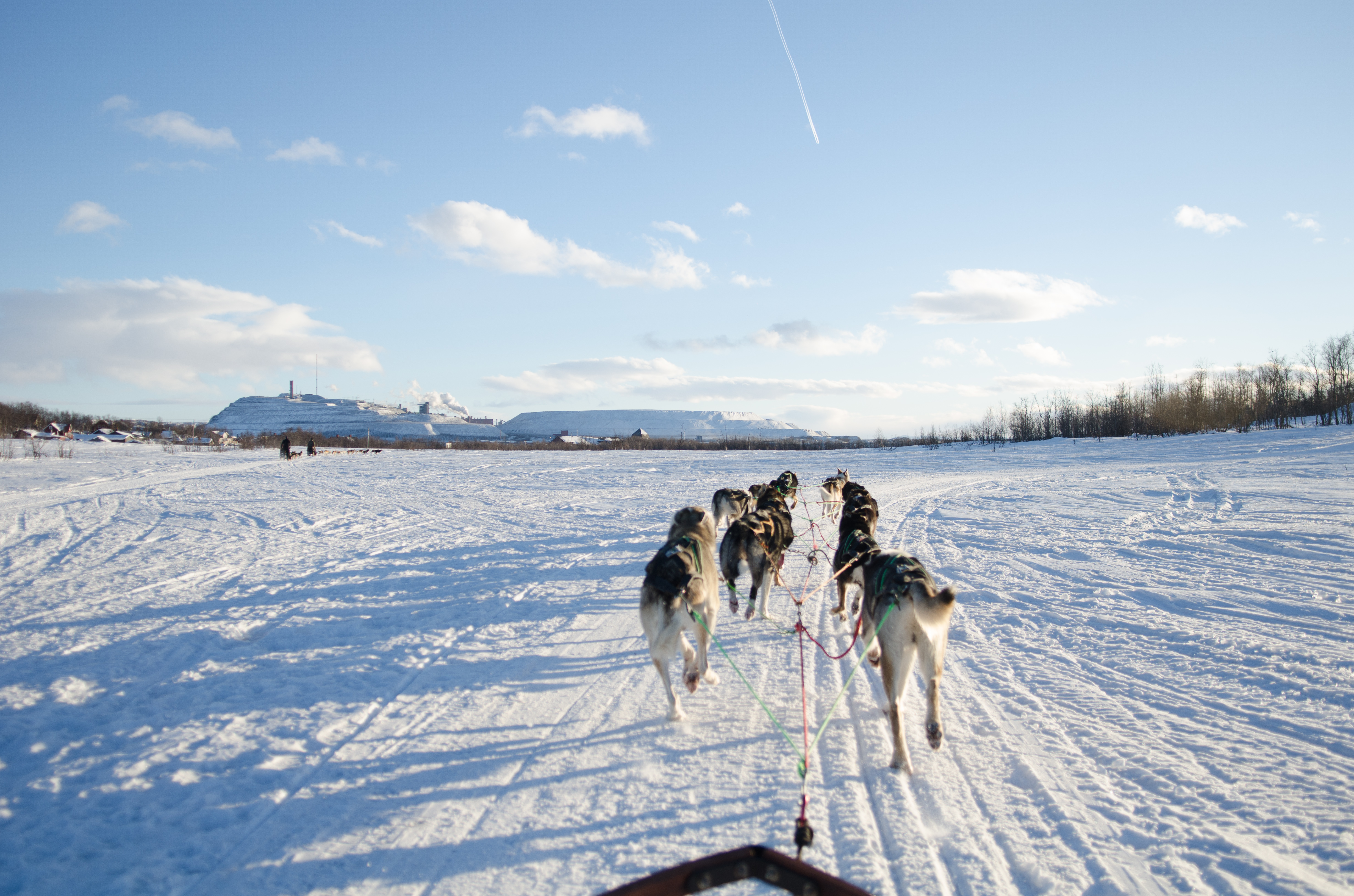 NIKON D7000_KirunaDogSledding-2535.jpg