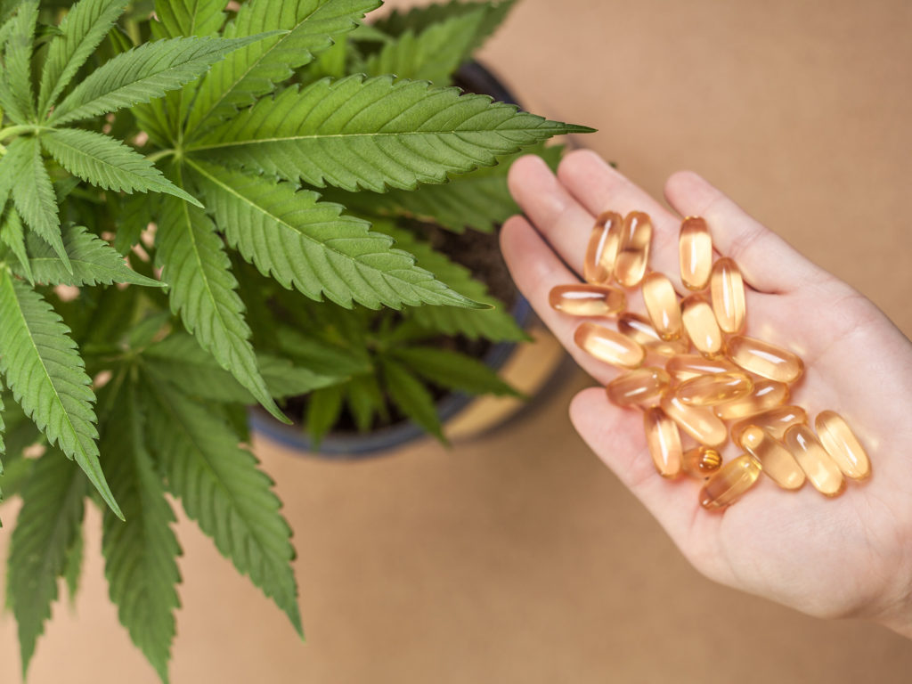 cannabis-capsules-next-to-plant-1-1024x768.jpg