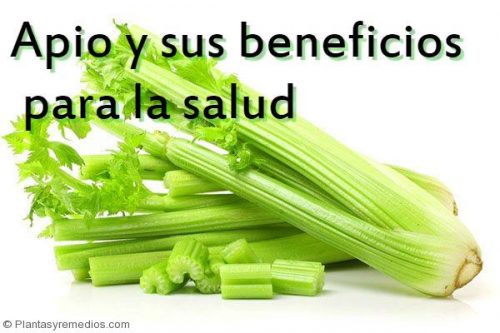 Beneficios-del-apio-para-la-salud-e1477357996277.jpg