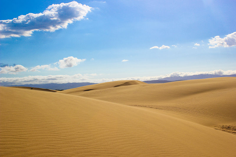 Medanos.jpg