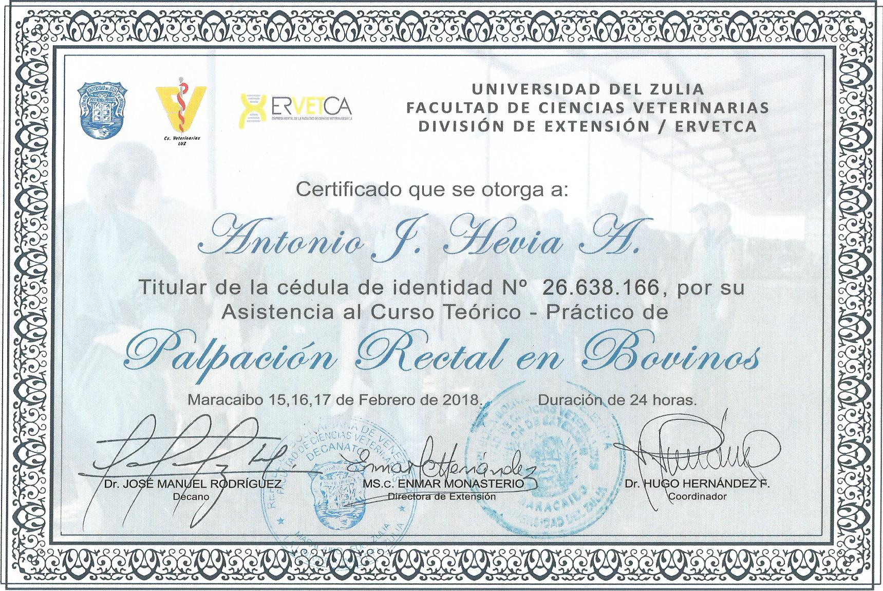 certificado palpacion en bovinos0003.jpg