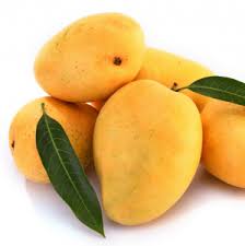 Mango.jpg