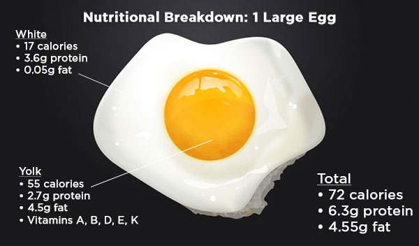 0215eggnutrition.jpg