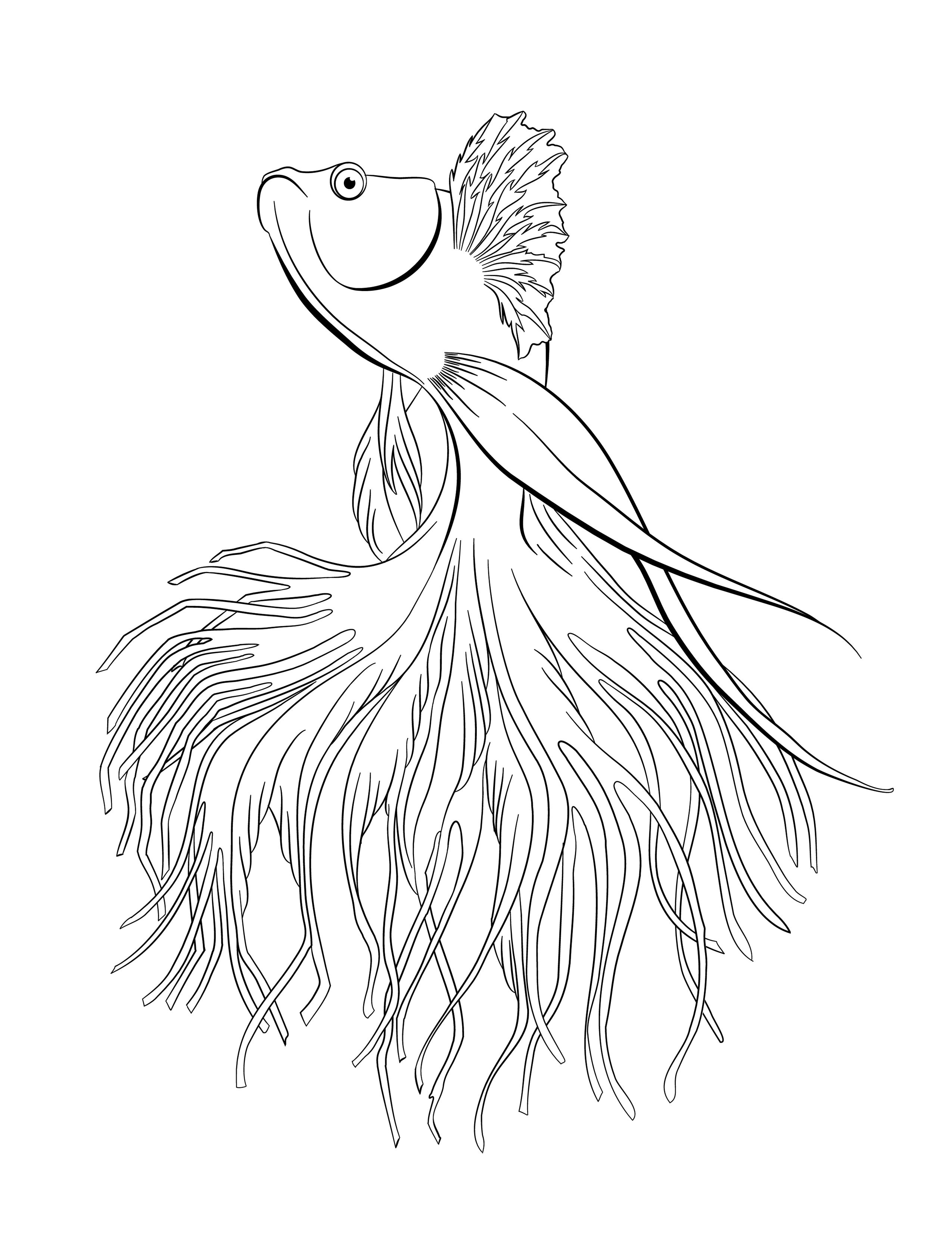 Drawing a Betta fish to colour. — Steemit