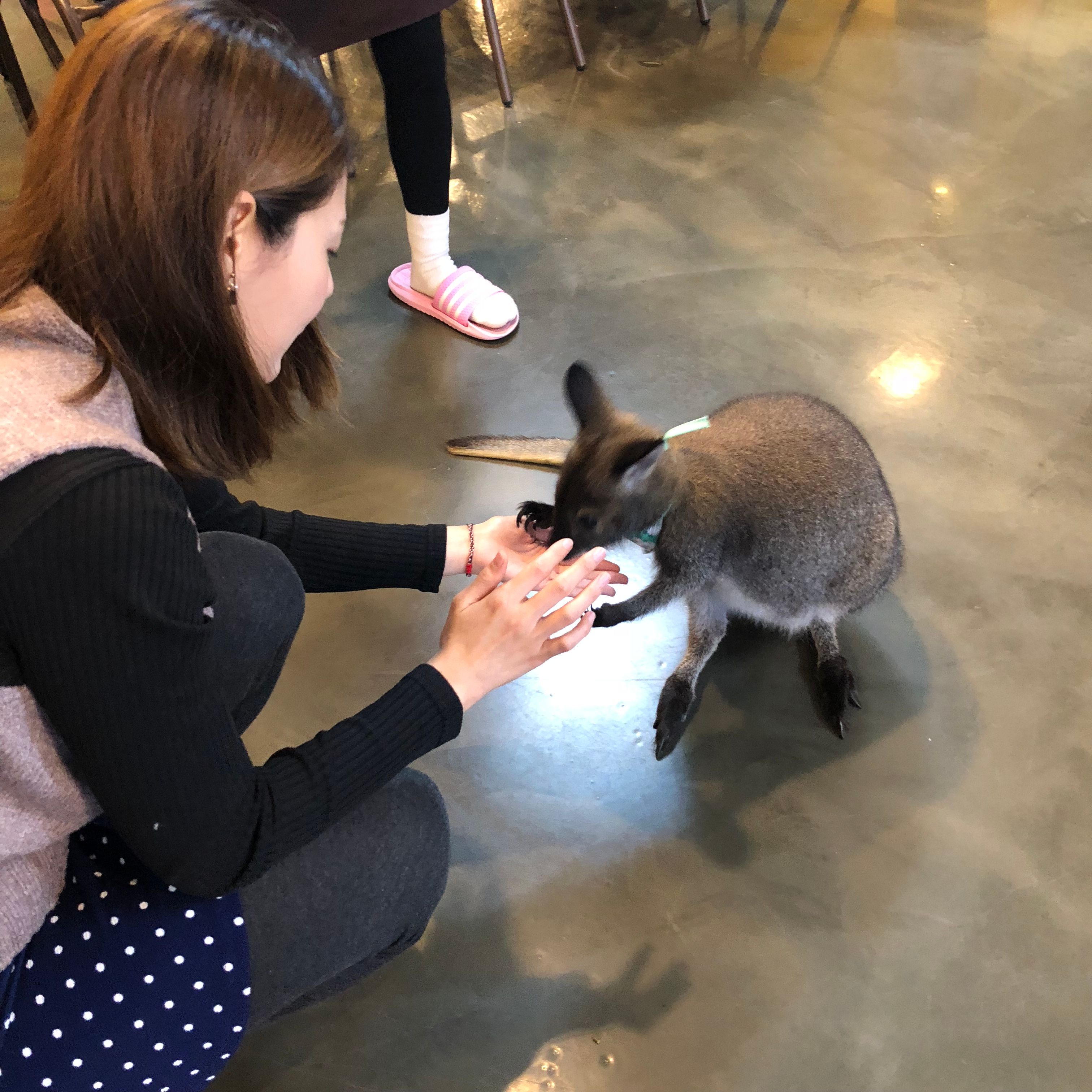 서울대공원 - 서울대공원 added a new photo., image size:3024x3024