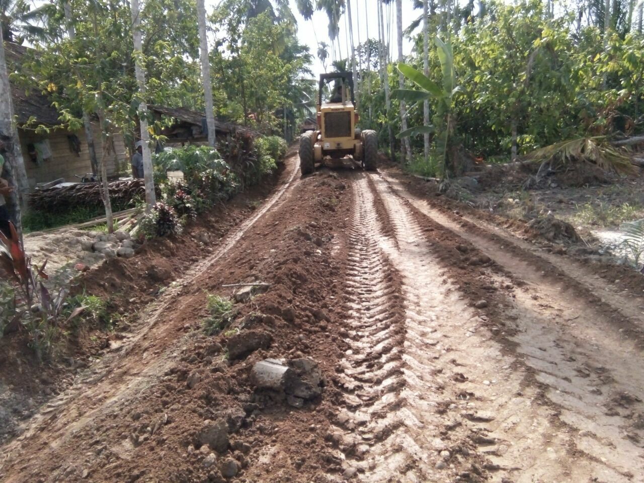 WhatsApp Image 2018-04-12 at 18.18.14 (1).jpeg