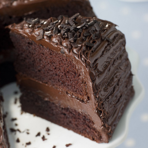 CHOCOLATE-CAKE-YUM-chocolate-33482004-500-500.jpg