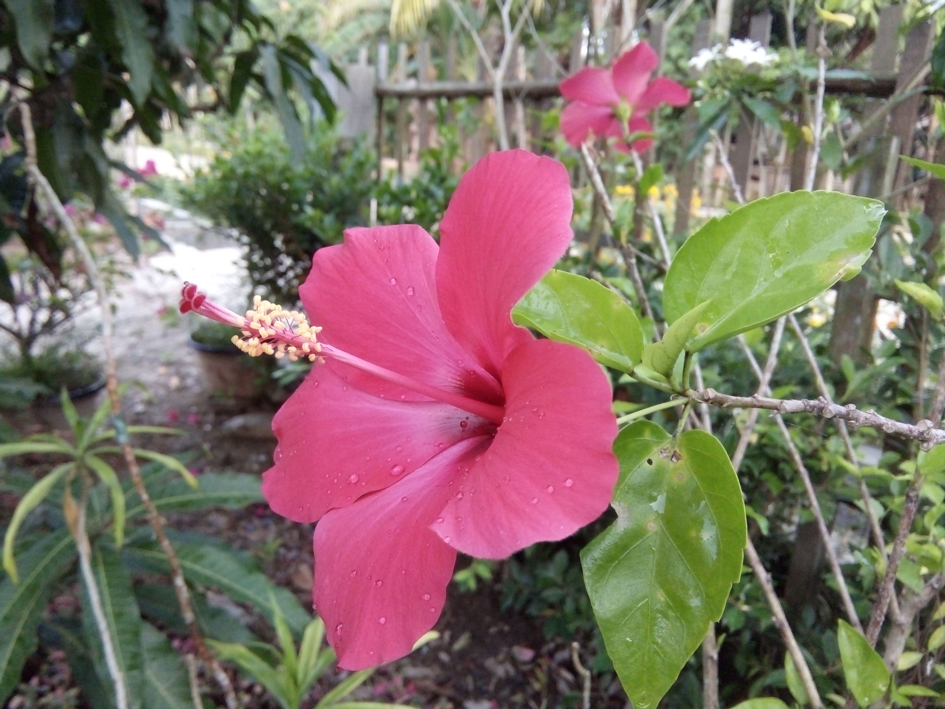 IMG20180301073655.jpg