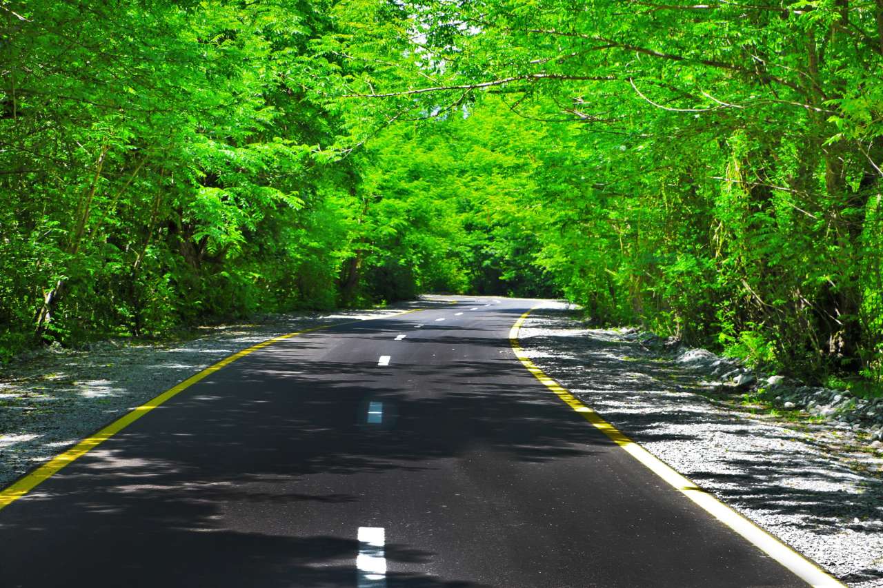 qebelede_avtomobil_yol_220616_01.jpg