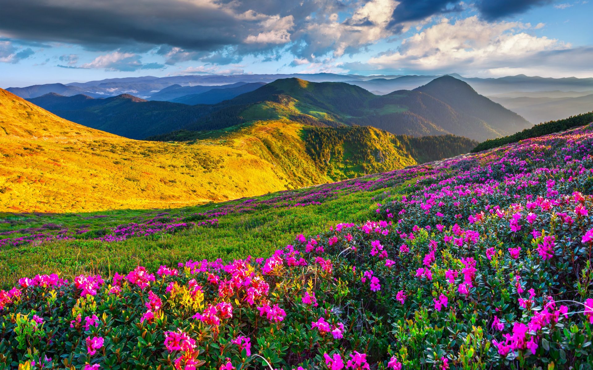 Beautiful-nature-area-with-green-grass-and-spring-flowers-mountain-horizon-with-mountains-and-sky-with-dark-clouds-landscape-from-Slovenia-1920x1200.jpg