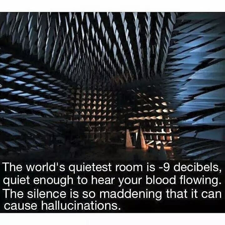 World S Quitest Room Steemit