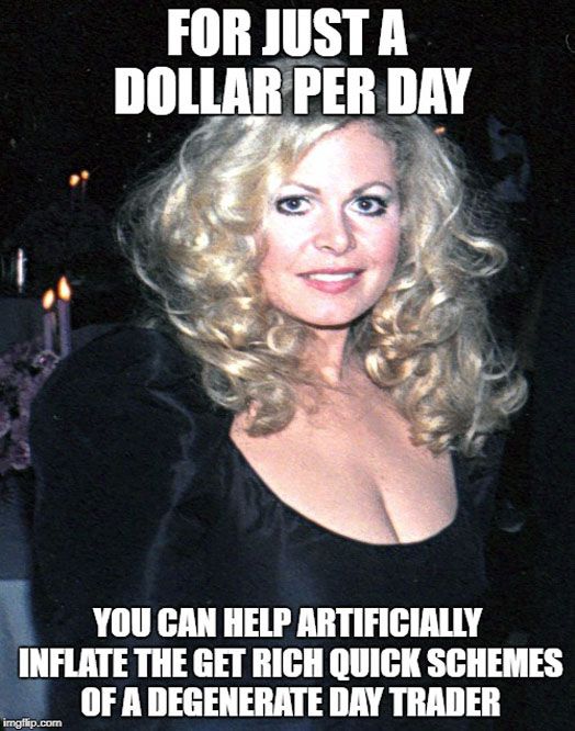 Sally Struthers Day Trading Meme.jpg