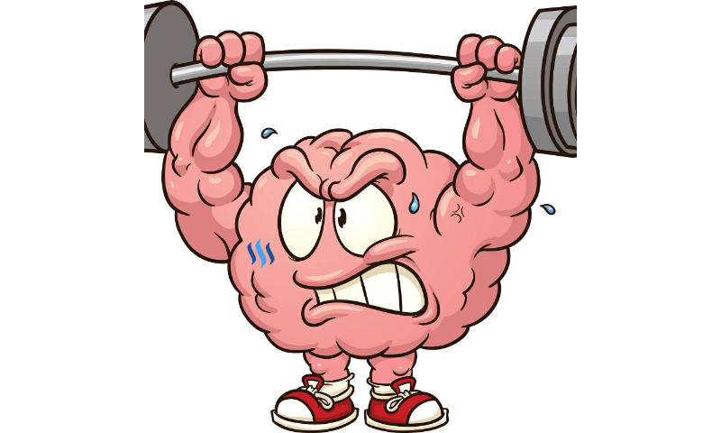 Brain-working-out.png