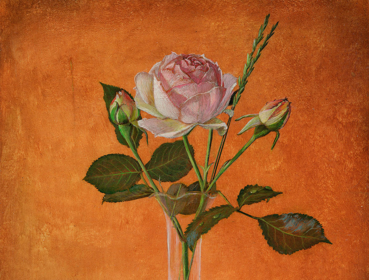 Pink Rose with Shell and Fruit detail 2.jpg