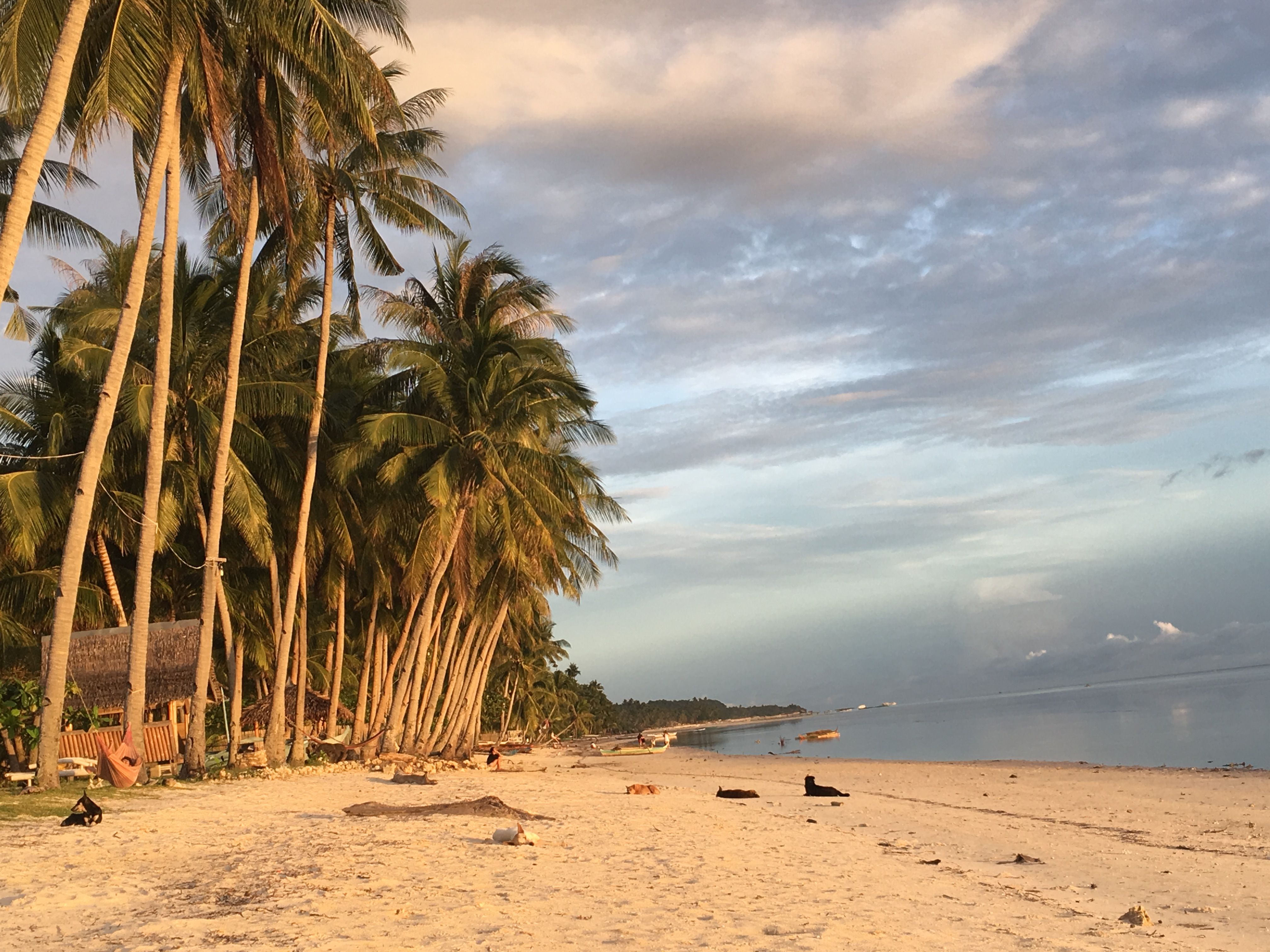 San Juan Beach.jpeg