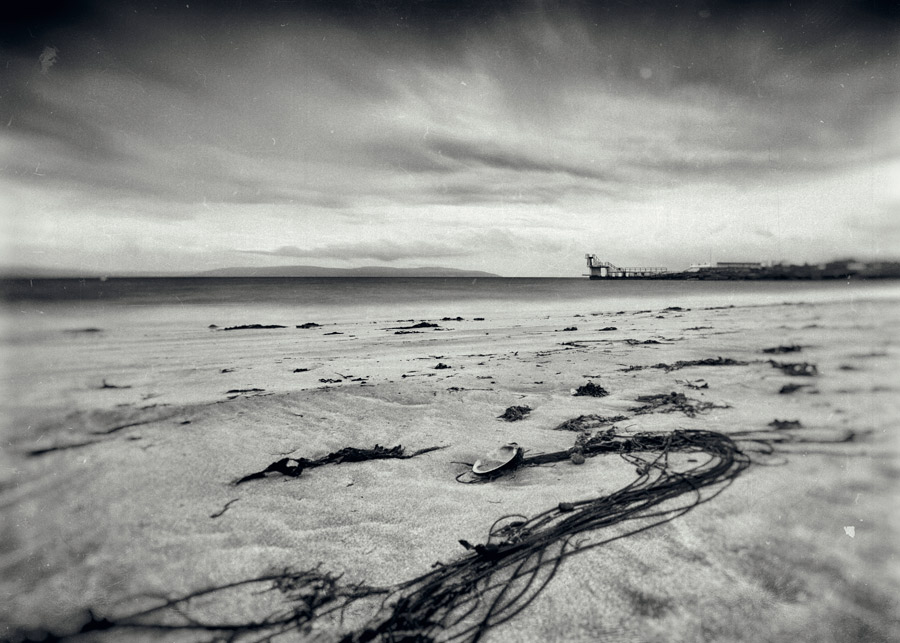 salthill-2017-shell-wet-plate_web.jpg